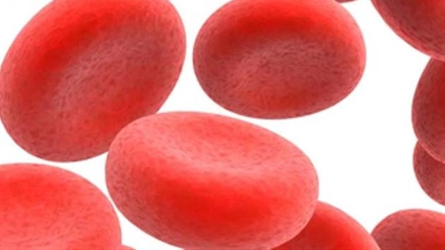 Increase hemoglobin- હિમોગ્લોબિન વધારવા માટે આ 5 વસ્તુઓનુ સેવન જરૂરી છે