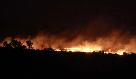 तमिलनाडु में आग लगने के बाद वन में 36 लोग फंसे, 15 बचाए गए
