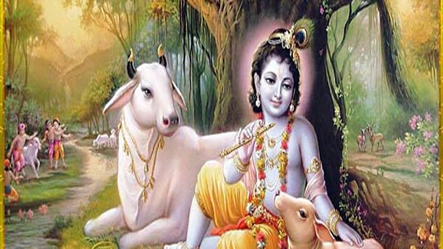 आज गोपाष्टमी, पढ़ें महत्व, पूजा विधि और कथा - Gopashtami katha