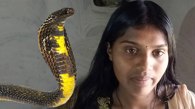 इच्‍छाधारी नाग की दुल्हन...! (वीडियो) - Marriage with snake