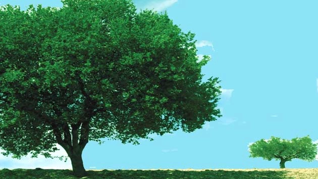 ગુજરાતમાં ગ્રીન કવર વધારવા 10 કરોડ વૃક્ષો વાવવામાં આવશે