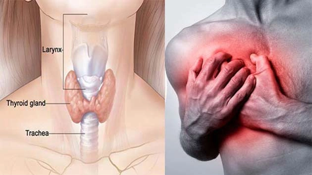 थायरॉइड से हो सकती है, दिल की बीमारी - Heart Disease From Thyroid