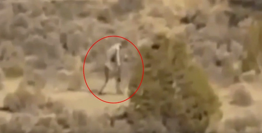 रेगिस्तान में दिखा एलियन (VIDEO)
