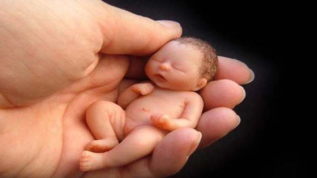कन्या भ्रूण की गुहार  : मैं जीने को बहाना हूं