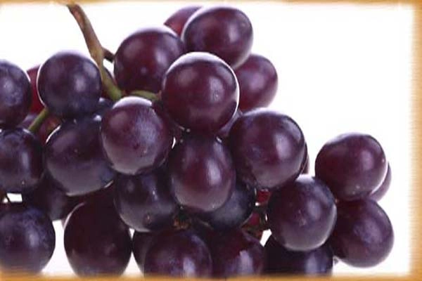अंगूर : खट्टा-मीठा पौष्टिक फल, पढ़ें अनमोल गुण - benefits of grapes