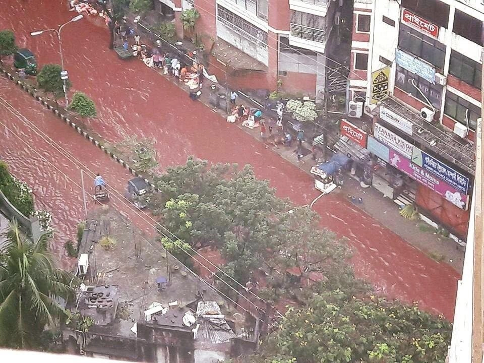 ईद पर ढाका में सड़कों पर बहा खून मिला पानी - Rivers of Blood Flow Through Dhaka