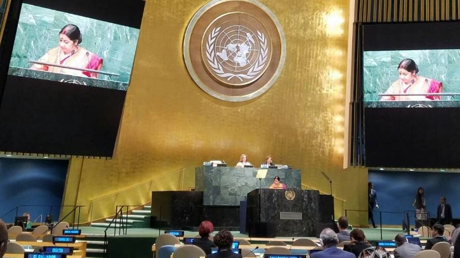 जलवायु परिवर्तन पर अपनी जिम्मेदारी निभाएं विकसित देश : भारत - UN General Assembly, Sushma Swaraj, climate change