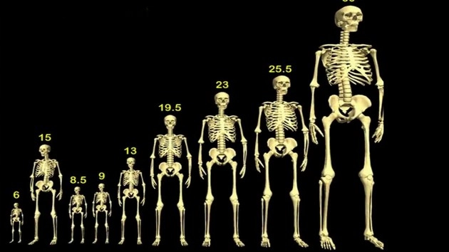 क्या प्राचीनकाल में 20 से 22 फीट के मानव होते थे? - Giant human