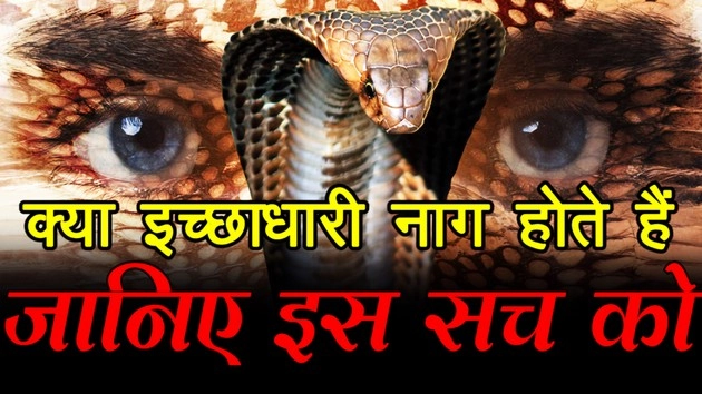 क्या इच्छाधारी नाग होते हैं, जानिए इस सच को (वीडियो) - what is ichchadhari nagin