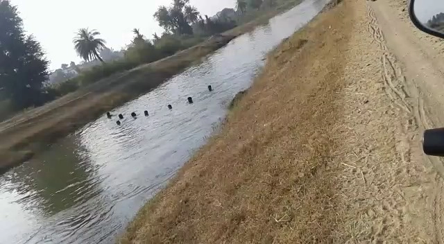 नहर में बहा युवक (वीडियो) - Youth, canal, Bimgdh flooding