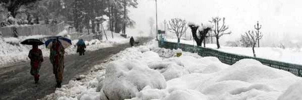 लद्दाख में हिमस्खलन, सेना ने 71 पर्यटकों को बचाया - snowfall in Laddakh, army saved 71 turists,