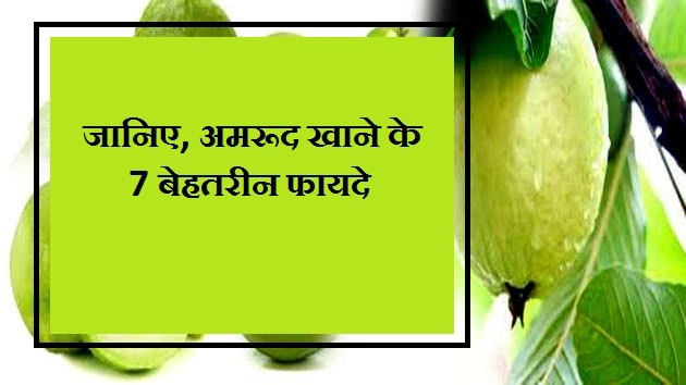 जानिए, अमरूद खाने के यह 7 फायदे - Benefit Of Guava/Amrood
