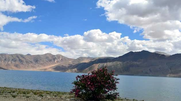 सीधे-सादे लोगों की धरती है लद्दाख - Leh Ladakh India