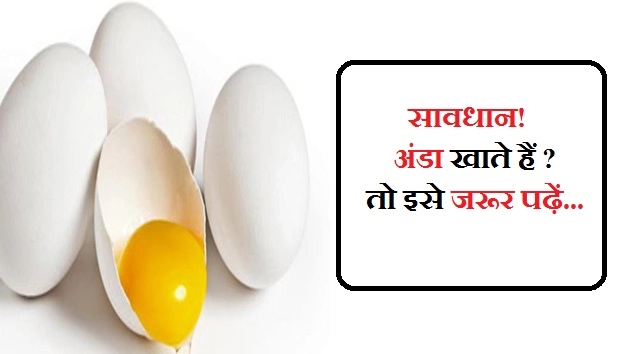 सावधान! अंडा खाते हैं तो इसे जरूर पढ़ें - Disadvantage Of Eating Egg