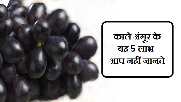 क्या आप जानते हैं, काले अंगूर के 5 लाभ - Black Grapes Benefit
