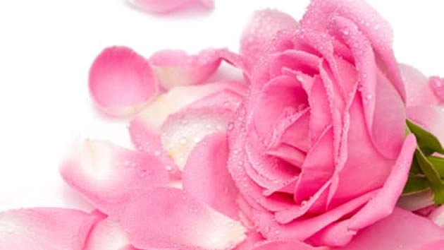 गुलाब जल गर्मियों में सेहत और सुंदरता  का सच्चा साथी - benefits of rosewater in summer