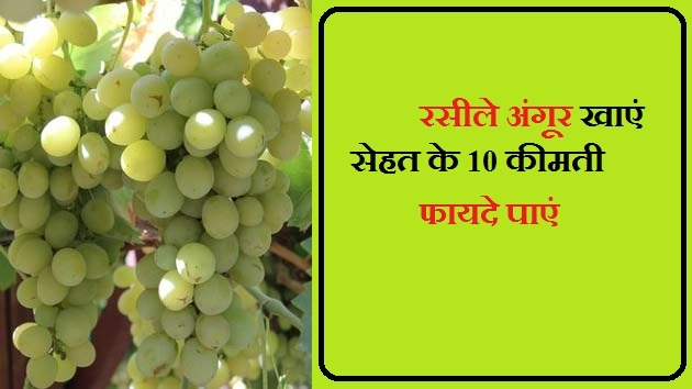 रसीले अंगूर दे सकते हैं सेहत के 10 कीमती फायदे - Grapes Benefit In Hindi