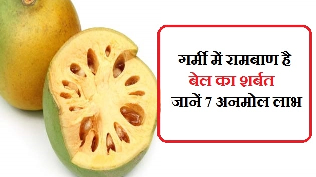 गर्मी में रामबाण है बेल का शर्बत, जानें 7 अनमोल लाभ - Health Benefit Of Bael Fruit
