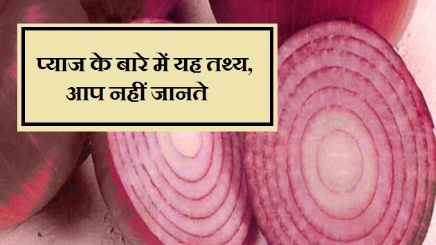 प्याज के अनजाने तथ्य, जो आप नहीं जानते - Important Facts About Onion In Hindi