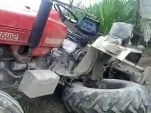 सांवरियाजी से लौट रहे पांच श्रद्धालुओं की मौत - Five dies in road accident in Ratlam