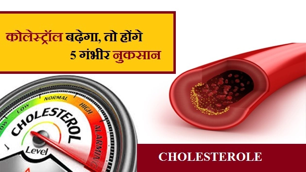 कोलेस्ट्रॉल बढ़ेगा, तो होंगे 5 गंभीर नुकसान - Harmful Effects Of Cholesterol