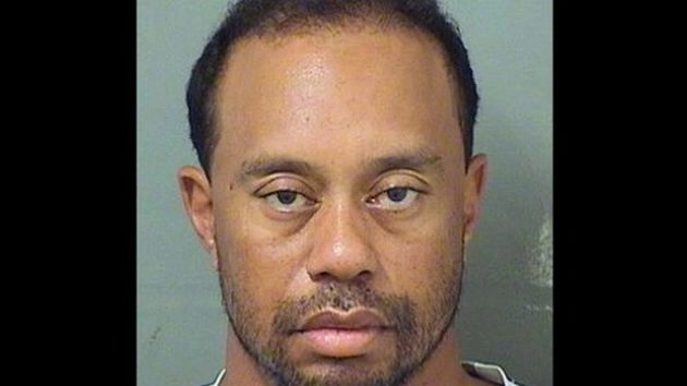 शराब पीकर गाड़ी चलाने के संदेह में टाइगर वुड्स गिरफ्तार - Tiger Woods Arrest