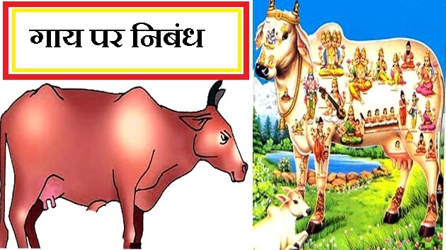 गाय : हिन्दी में सरल निबंध