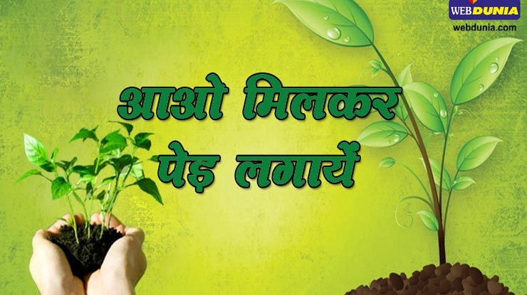 पर्यावरण दिवस पर पौधा लगाएं तो इन वास्तु टिप्स को अपनाएं.. मिलेंगे 13 शुभ फल - Vastu Tips for plantation