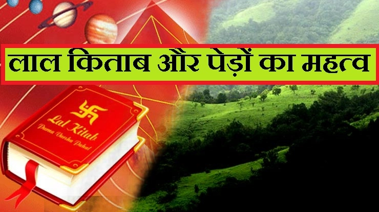 लाल किताब में भी लिखा है वृक्षों का महत्व,पढ़ें दिलचस्प जानकारी - laal kitab