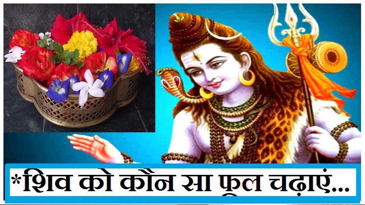 श्रावण मास में शिव को किस वरदान के लिए कौन सा फूल चढ़ाएं - Shiv Poojan in Shravan Month