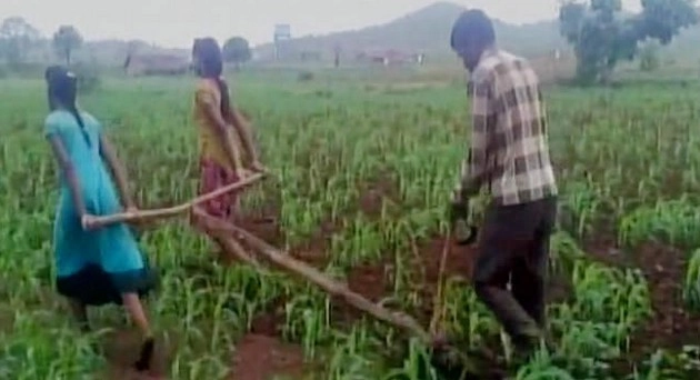 गरीबी की पराकाष्ठा! किसान ने बैल की जगह बेटियों को जोता... - Madhya Pradesh farmers bulls