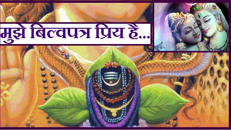 मुझे बिल्वपत्र बहुत प्रिय है : भगवान शिव (जानिए राज) - bilva patra and lord shiva