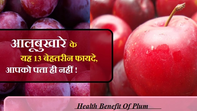 आलूबुखारे के यह 13 बेहतरीन फायदे, आपको पता ही नहीं ! - Health Benefit Of Plum In Hindi