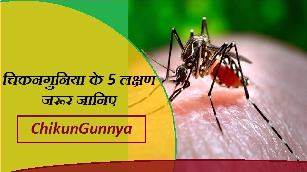 चिकनगुनिया के 5 लक्षण जानिए और सावधान रहिए - Chikungunnya Symptoms In Hindi