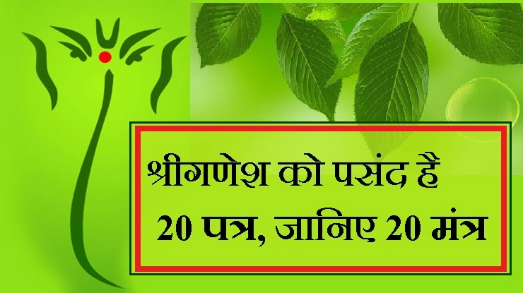 श्री गणेश को चढ़ाएं 20 पत्र, साथ में बोलें यह 20 मंत्र - 20 leaves and ganesha mantra