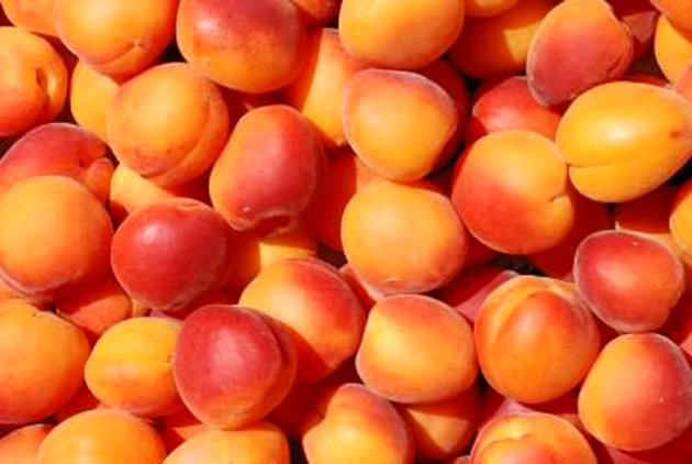 खूबानी में है खूब गुण, क्या आपको पता है? - Health Benefits of Eating Apricots