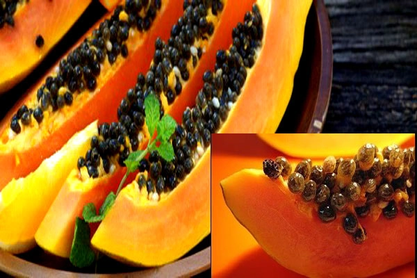 क्या आप जानते हैं गुणकारी होते हैं पपीते के बीज - benefits of papaya seeds
