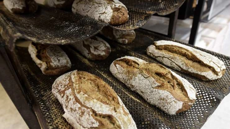झींगुर वाली ब्रेड लोकप्रिय - bread made from crushed crickets