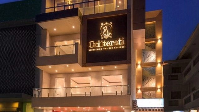 भारत में खुला पहला डॉग होटल - dog hotel, gurugram