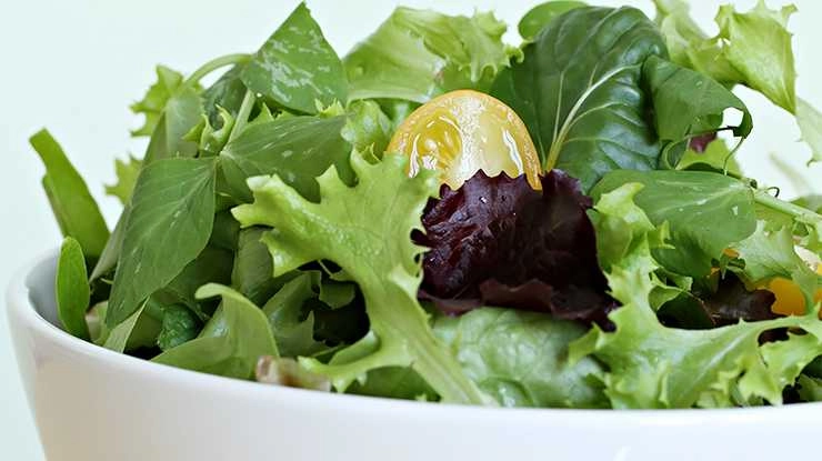 हरी पत्तेदार सलाद खाने से दिमाग होगा 11 वर्ष जवान - leafy salad