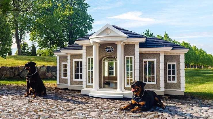 एक महल हो श्वानों का - luxury dog homes