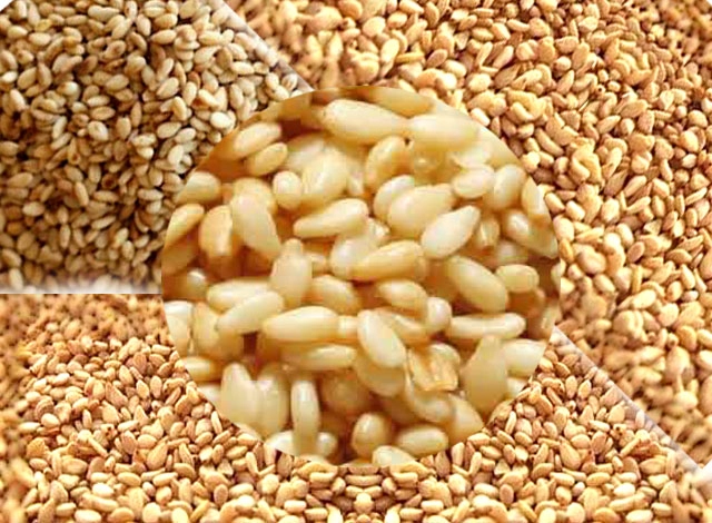 क्या आप जानते हैं छोटे से तिल के यह 10 बड़े फायदे - 10 Amazing Benefits of Sesame Seeds