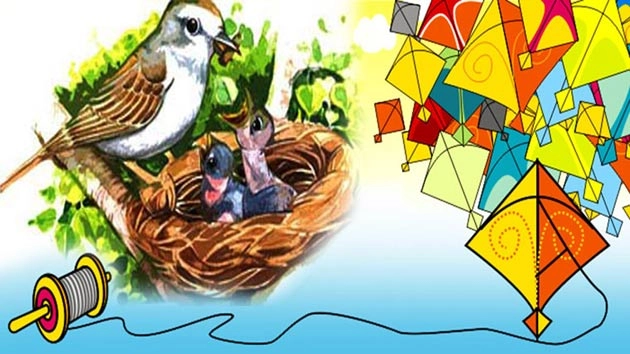 संक्रांति पर पढ़ें नन्ही चिड़िया की कहानी : प्लीज, हमें बचा लो... - kite and Bird story