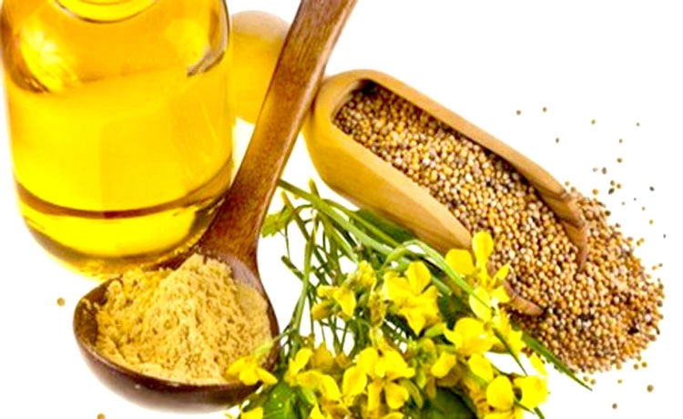 सरसों तेल के 10 फायदे, जरूर जानें और अपनाएं - Fantastic Benefits Of Mustard Oil