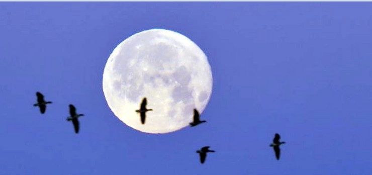 कविता : नहीं चाहिए चांद - poem on moon