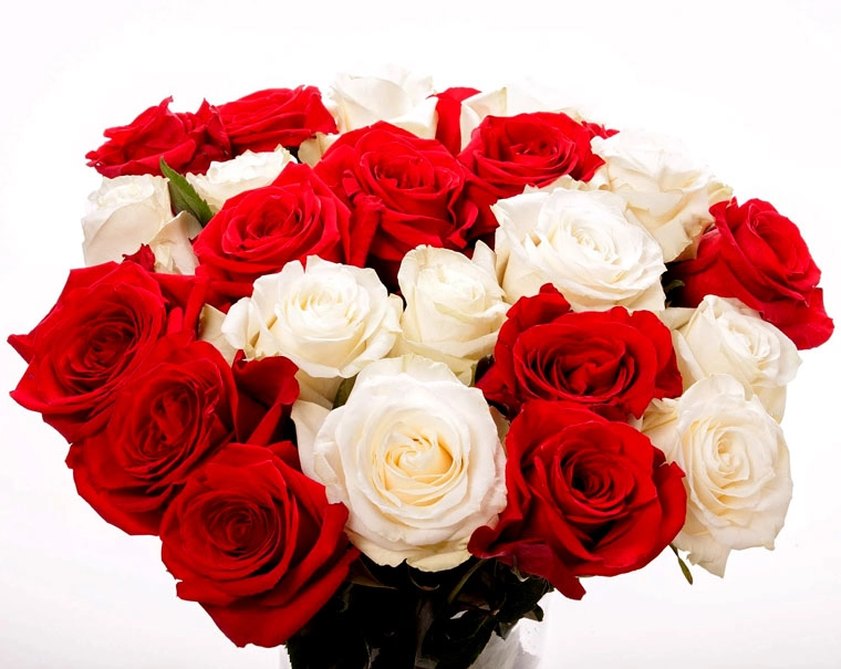 हैप्पी रोज डे....अब गुलाब को कैसे मैं गुलाब भेजूं... - Happy rose day 7th February