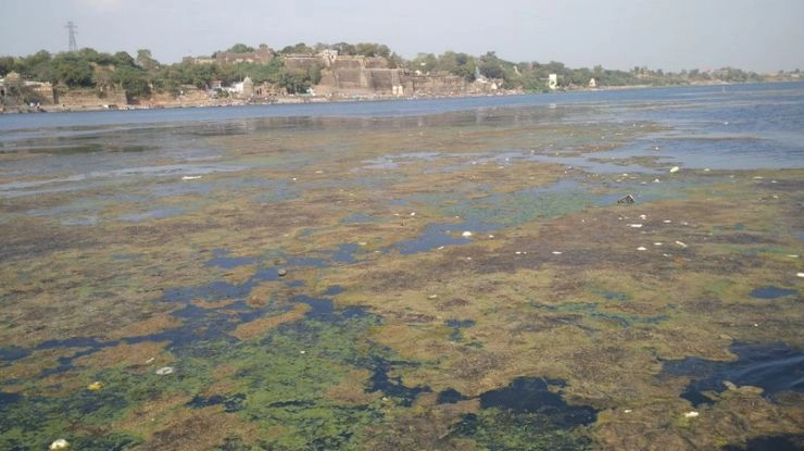 नर्मदा जल निर्गम की वस्तुस्थिति - Narmada water issue, Madhya Pradesh government