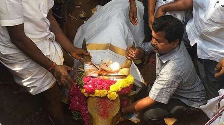 जलीकट्टू में बैल की दर्दनाक मौत - Tamil Nadu Health Minister’s bull dies during jallikkattu