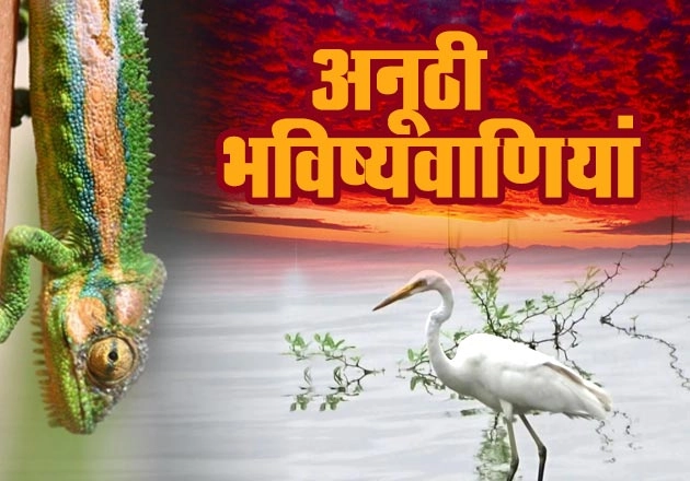 आप नहीं जानते होंगे ये अनूठी भविष्यवाणियां, अवश्य पढ़ें... - Bhavishyavani in Hindi