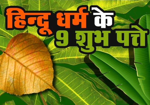हिन्दू धर्म विशेष : ये 9 पत्ते बहुत महत्वपूर्ण हैं हमारे जीवन के लिए - 9 Auspicious leaves